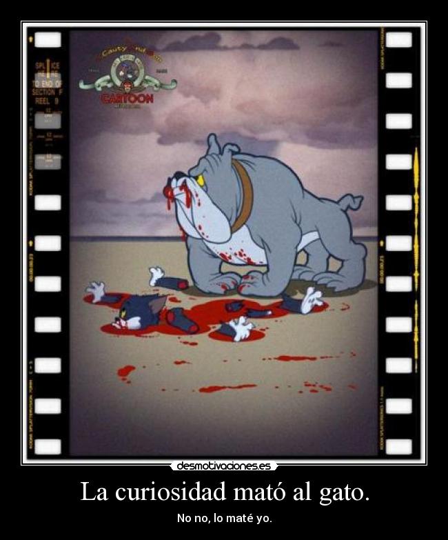 carteles matar gato curiosidad desmotivaciones
