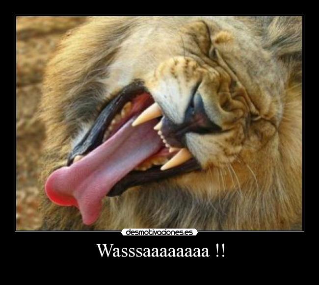 Wasssaaaaaaaa !! - 