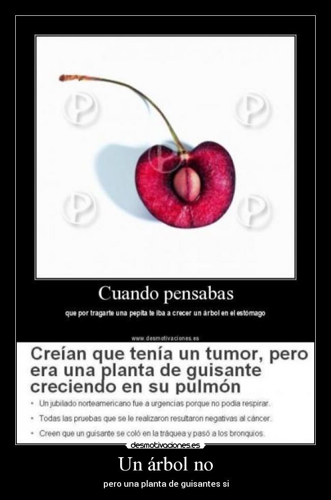 Un árbol no - pero una planta de guisantes si