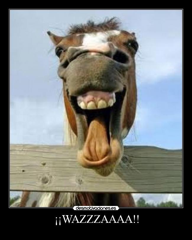 ¡¡WAZZZAAAA!! -