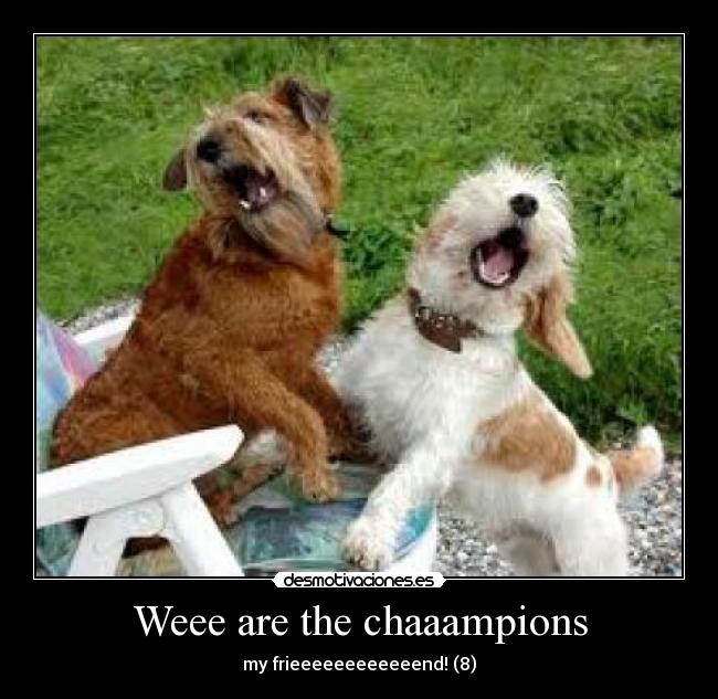 Weee are the chaaampions -