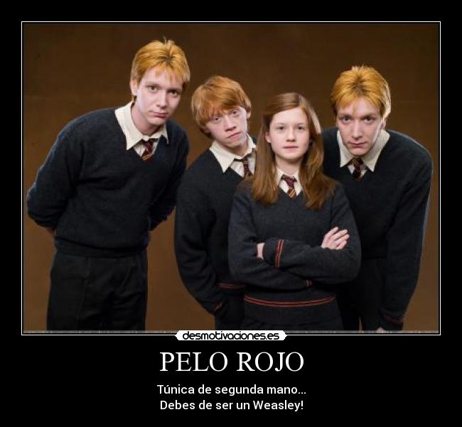 carteles weasley malfoy harry potter desmotivaciones