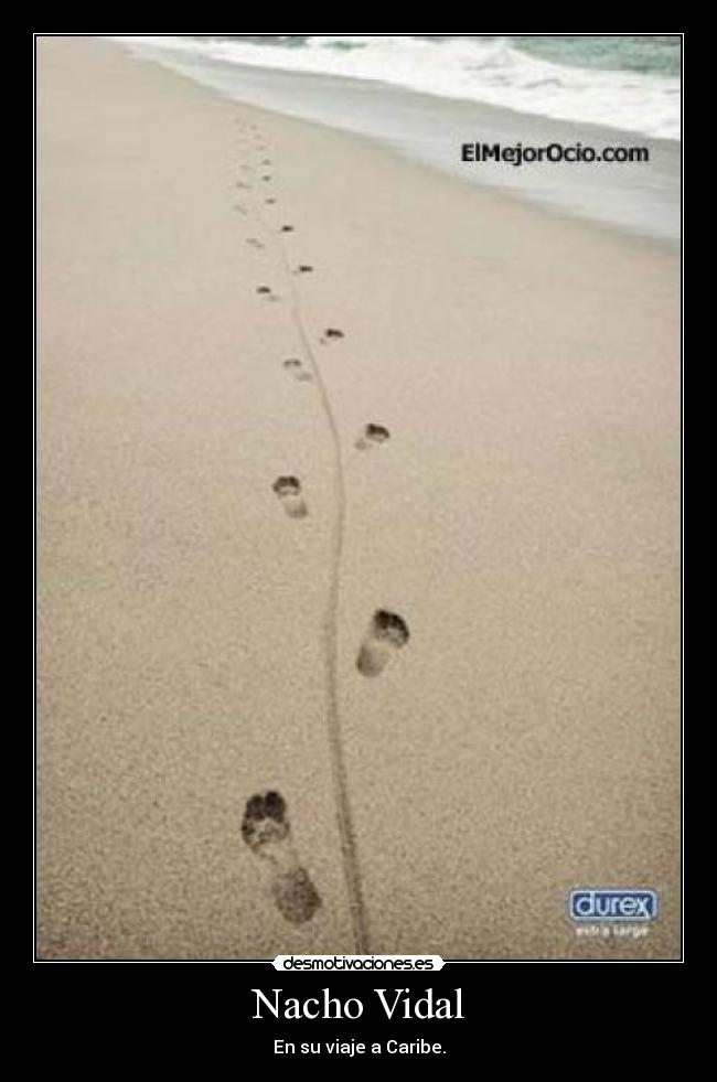 carteles nacho vidal caribe viaje durex desmotivaciones