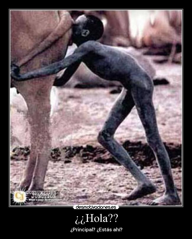 ¿¿Hola?? - ¿Principal? ¿Estás ahí?