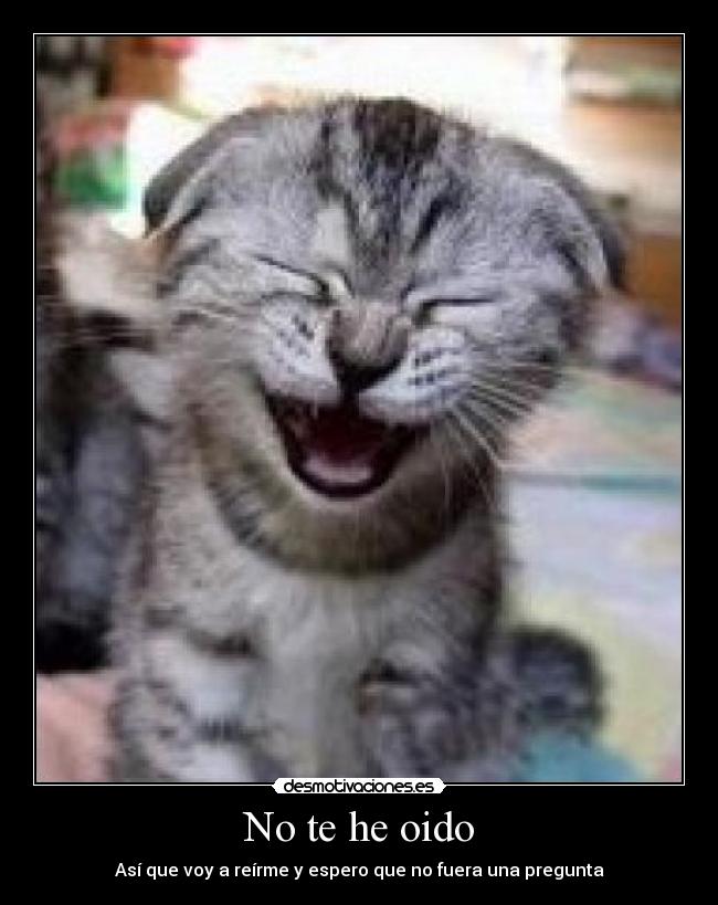No te he oido - Así que voy a reírme y espero que no fuera una pregunta