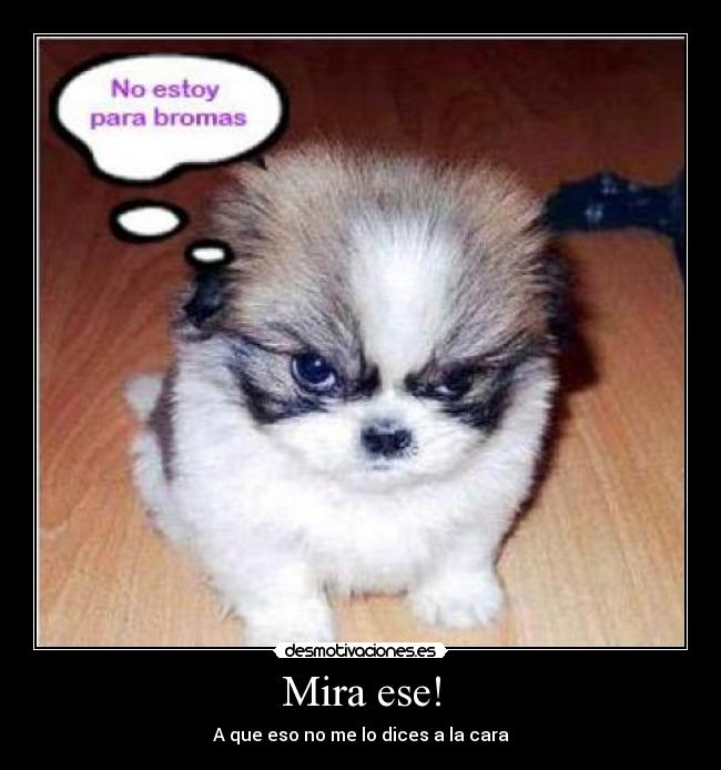 Mira ese! - 