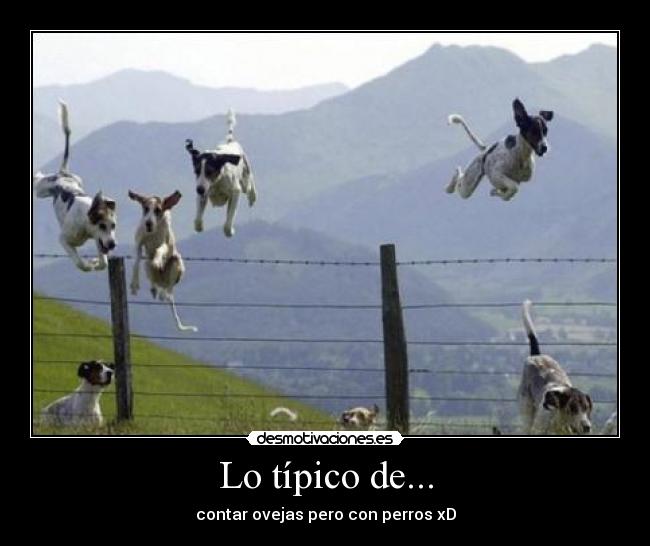 Lo típico de... -