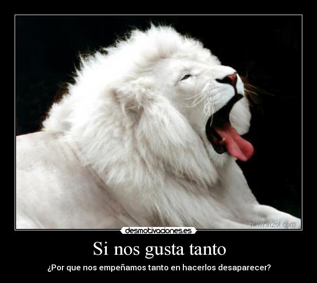 Si nos gusta tanto - ¿Por que nos empeñamos tanto en hacerlos desaparecer?