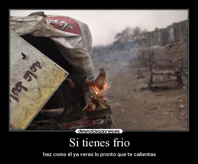 Si tienes frio - haz como él ya veras lo pronto que te calientas