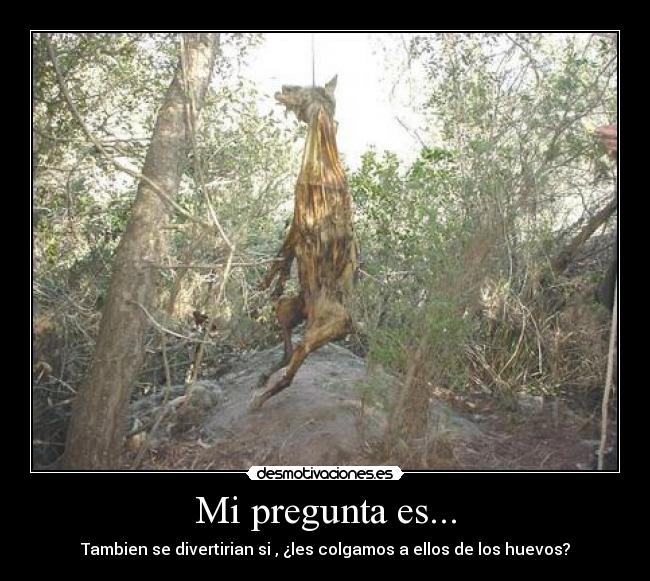 Mi pregunta es... - Tambien se divertirian si , ¿les colgamos a ellos de los huevos?