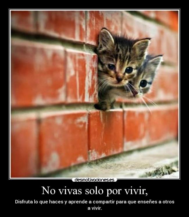 No vivas solo por vivir, -