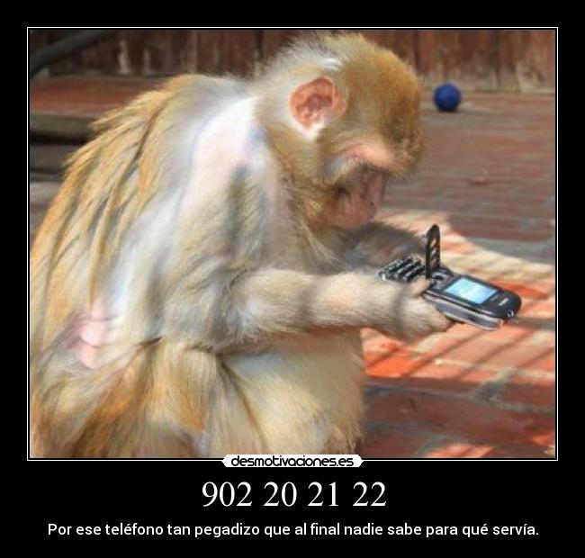 carteles 902-20-21-22 desmotivaciones