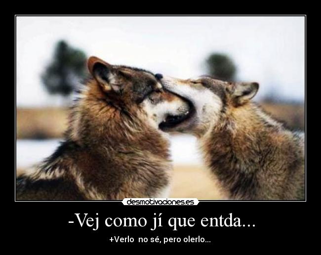 -Vej como jí que entda... - +Verlo no sé, pero olerlo...