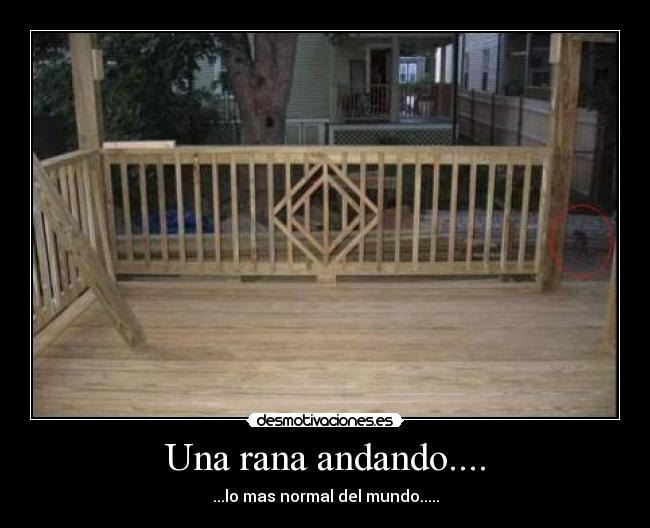 Una rana andando.... -