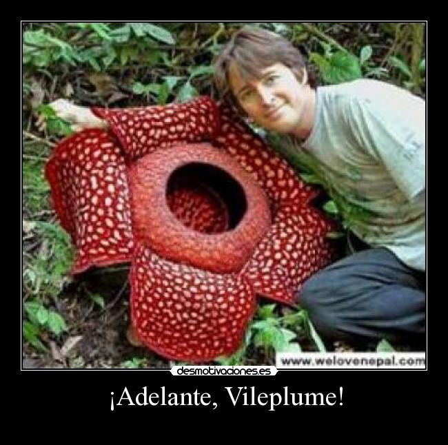 ¡Adelante, Vileplume! -