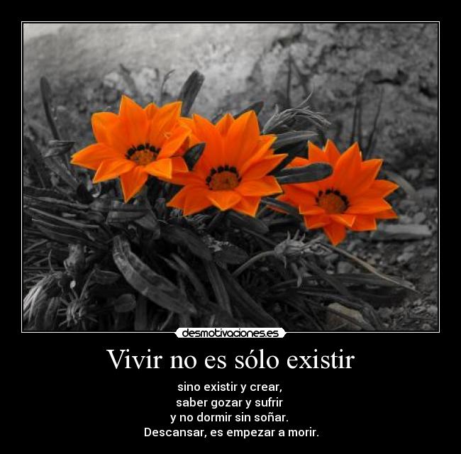 carteles antoniogachero desmotivaciones