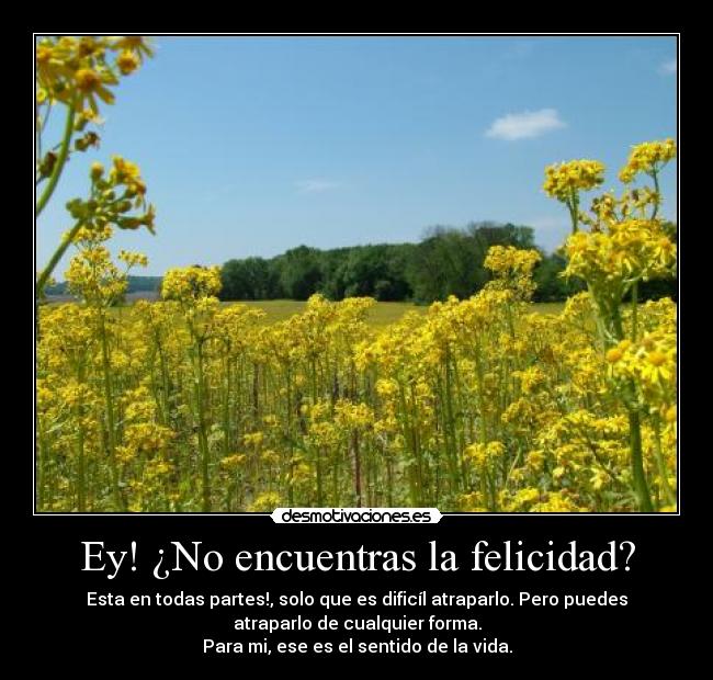 Ey! ¿No encuentras la felicidad? - 
