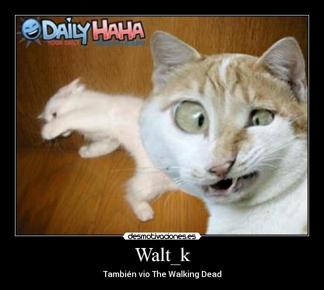 Walt_k -