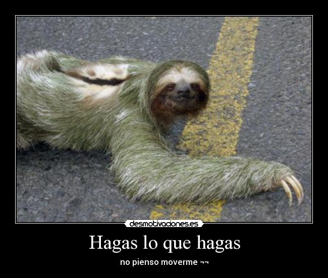 Hagas lo que hagas - no pienso moverme ¬¬