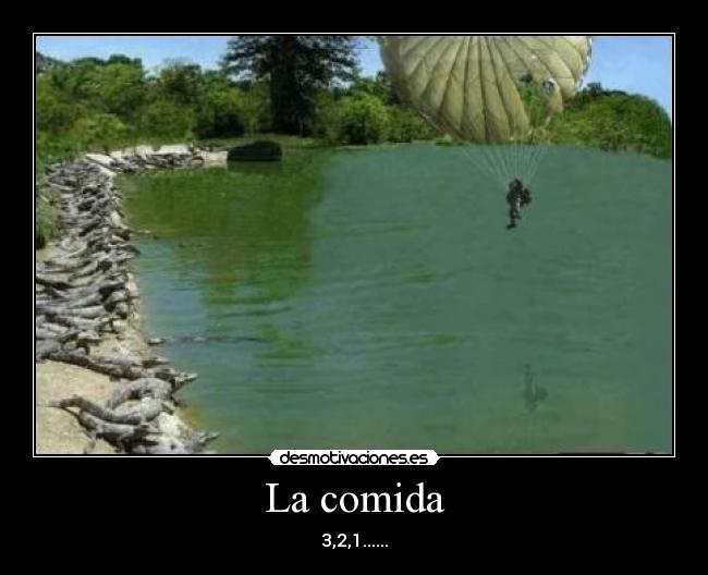 La comida -