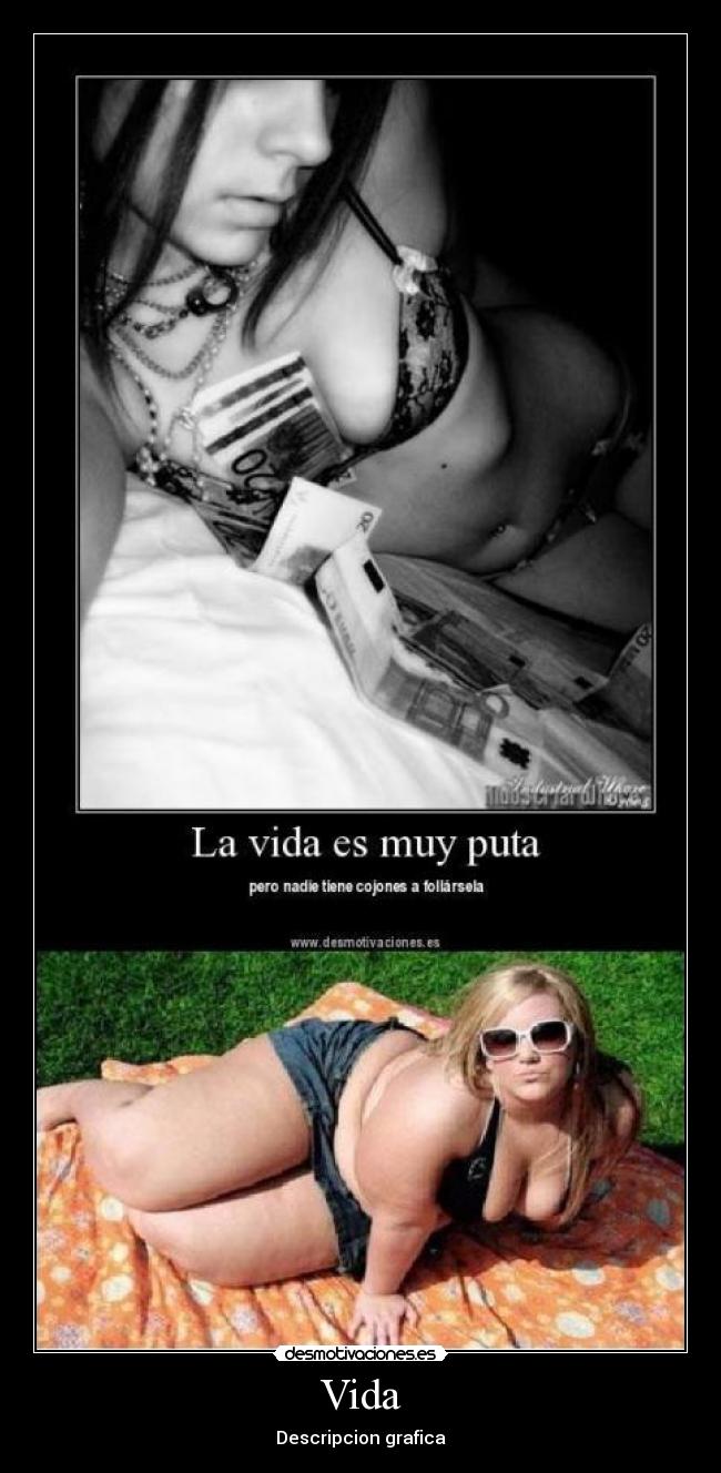 Vida - Descripcion grafica