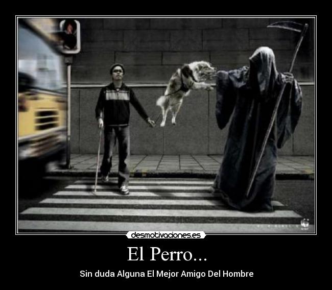 El Perro... -