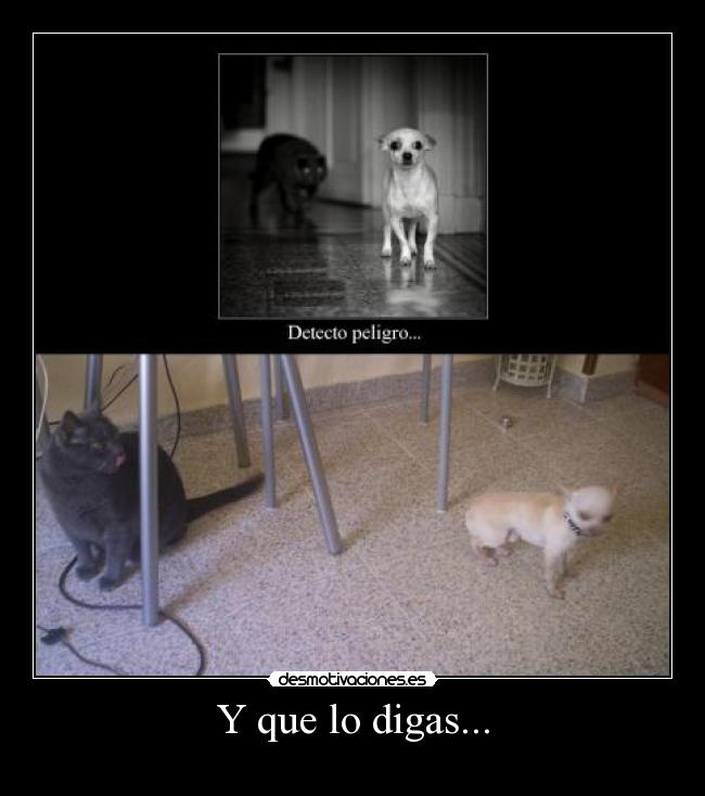 Y que lo digas... -