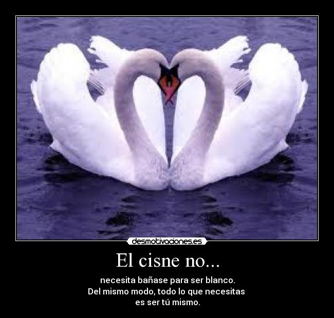 El cisne no... - necesita bañase para ser blanco.
Del mismo modo, todo lo que necesitas
es ser tú mismo.