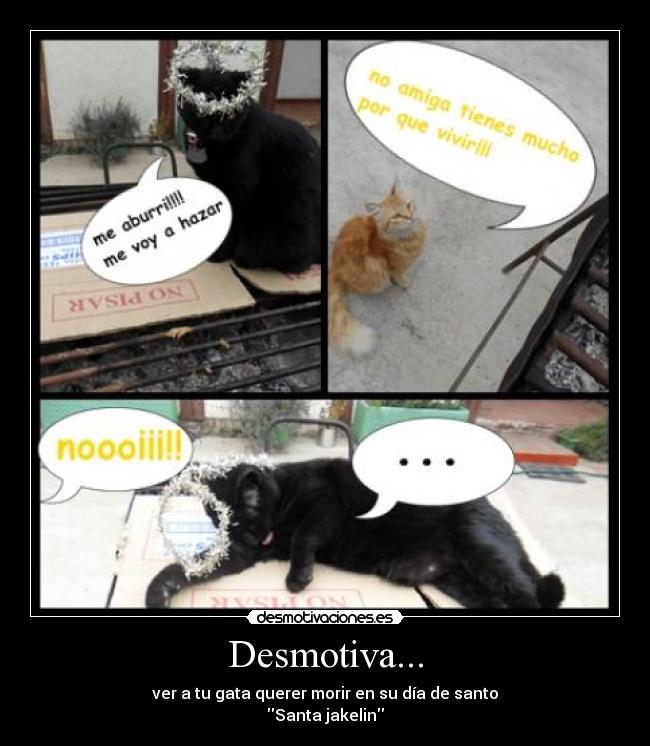 Desmotiva... - ver a tu gata querer morir en su día de santo
Santa jakelin