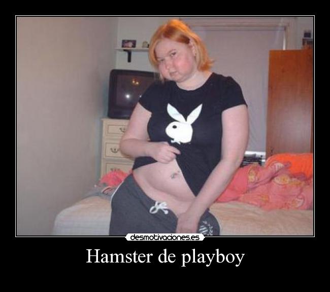 Hamster de playboy -
