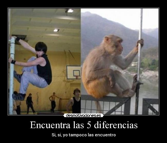 Encuentra las 5 diferencias -