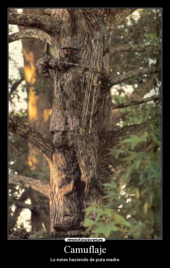 Camuflaje - 