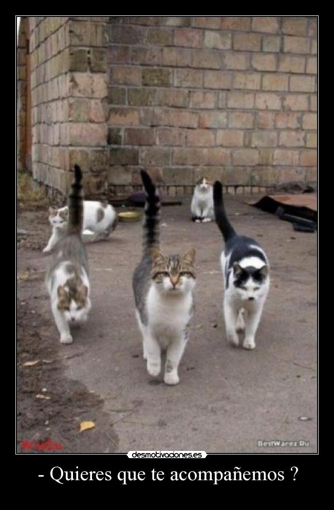 carteles desmotivaciones