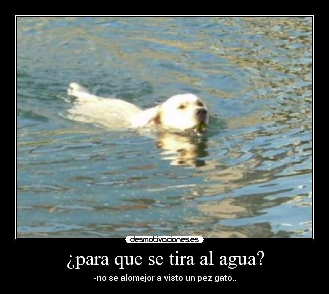 ¿para que se tira al agua? - 