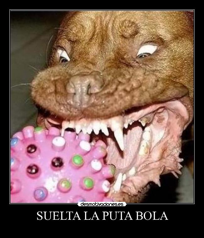 SUELTA LA PUTA BOLA -