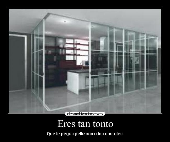 Eres tan tonto - Que le pegas pellizcos a los cristales.