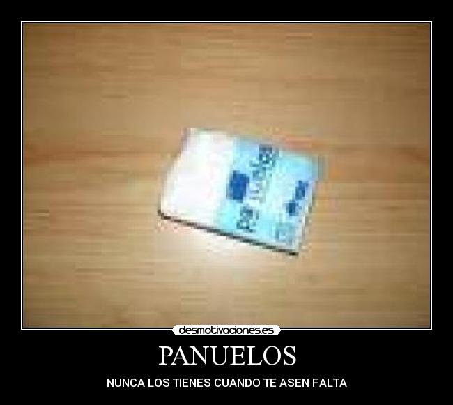 PANUELOS - 