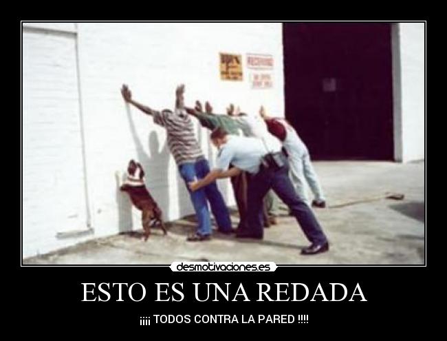 ESTO ES UNA REDADA - 