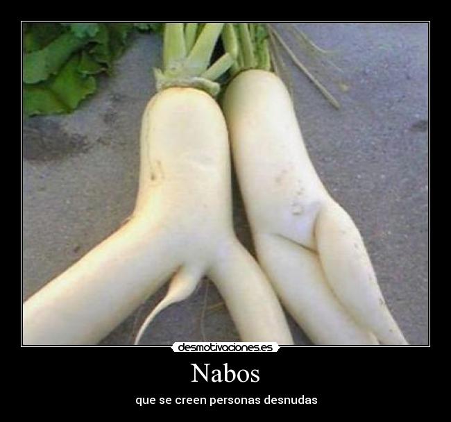 Nabos - 