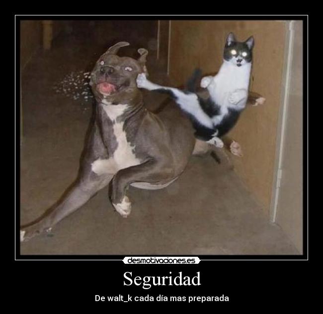 Seguridad - 