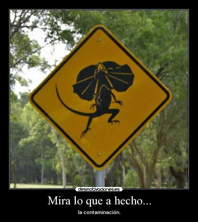 Mira lo que a hecho... - la contaminación.