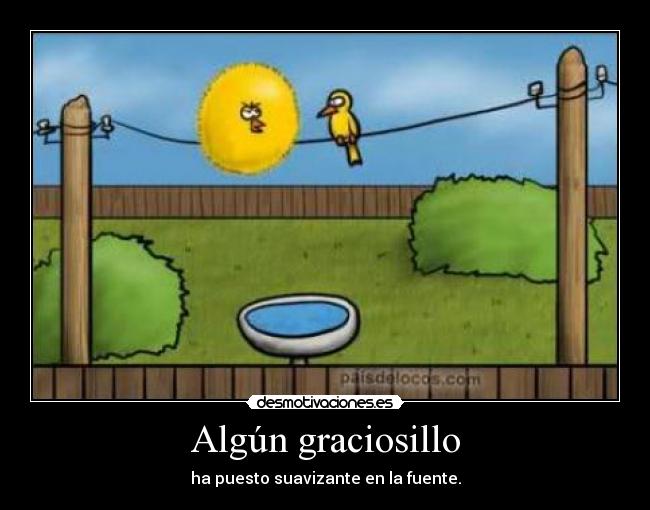 Algún graciosillo - 