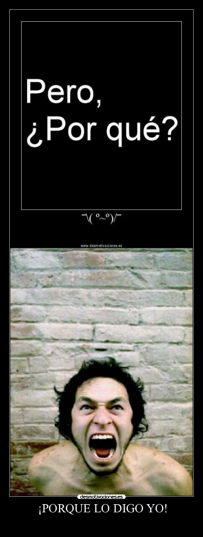 carteles porquelodigoyo desmotivaciones