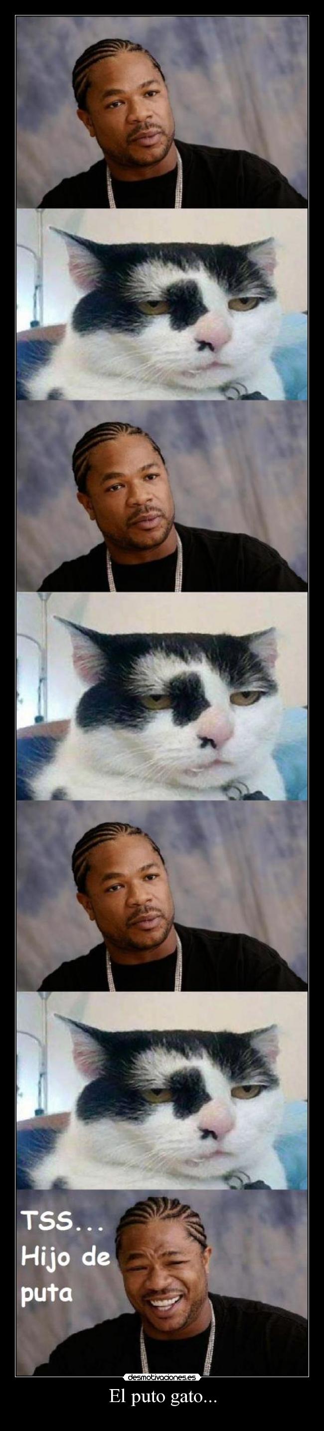 El puto gato... - 