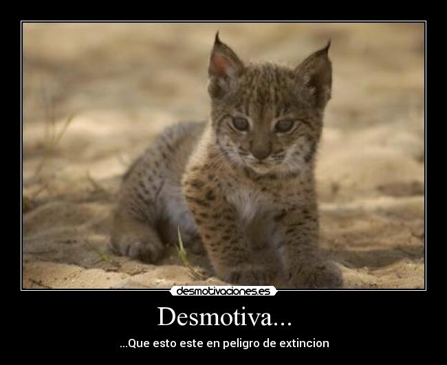 Desmotiva... - ...Que esto este en peligro de extincion