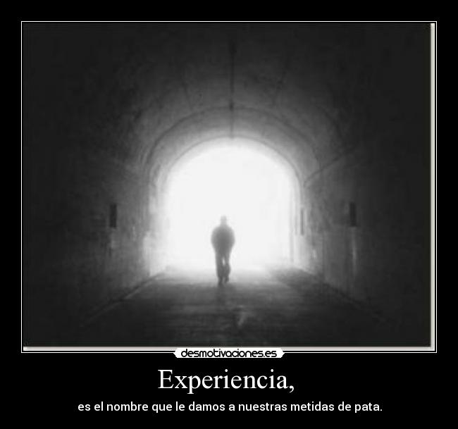 Experiencia, - es el nombre que le damos a nuestras metidas de pata.