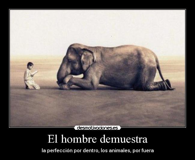 El hombre demuestra - la perfección por dentro, los animales, por fuera