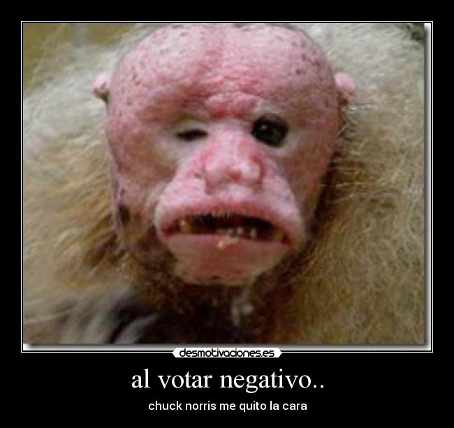 al votar negativo.. - 