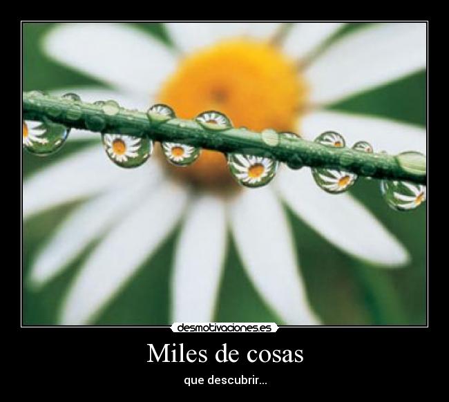 Miles de cosas - que descubrir...