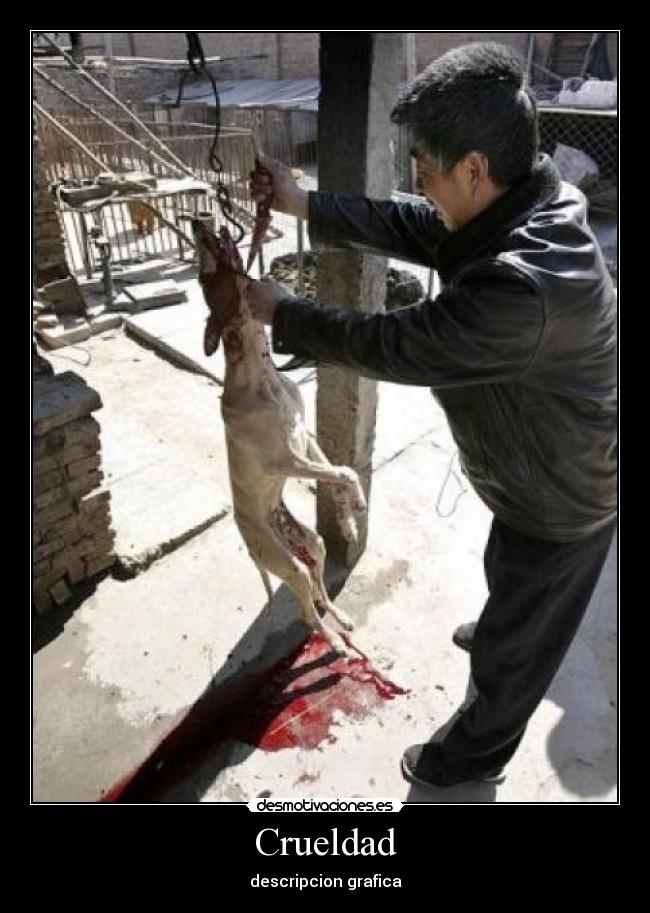 Crueldad -